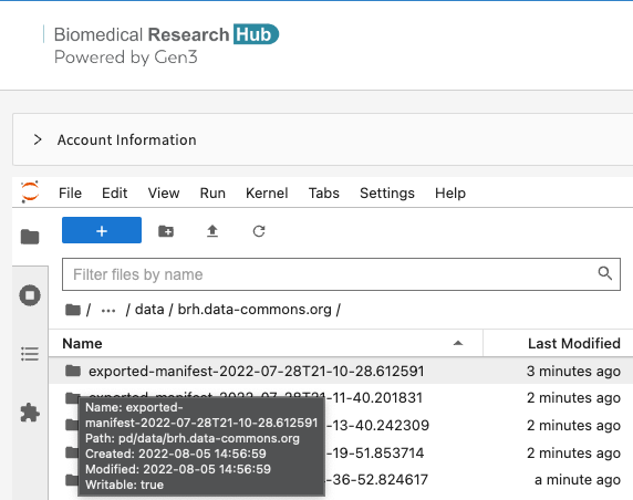 Workspace manifest downloaded to pd directory