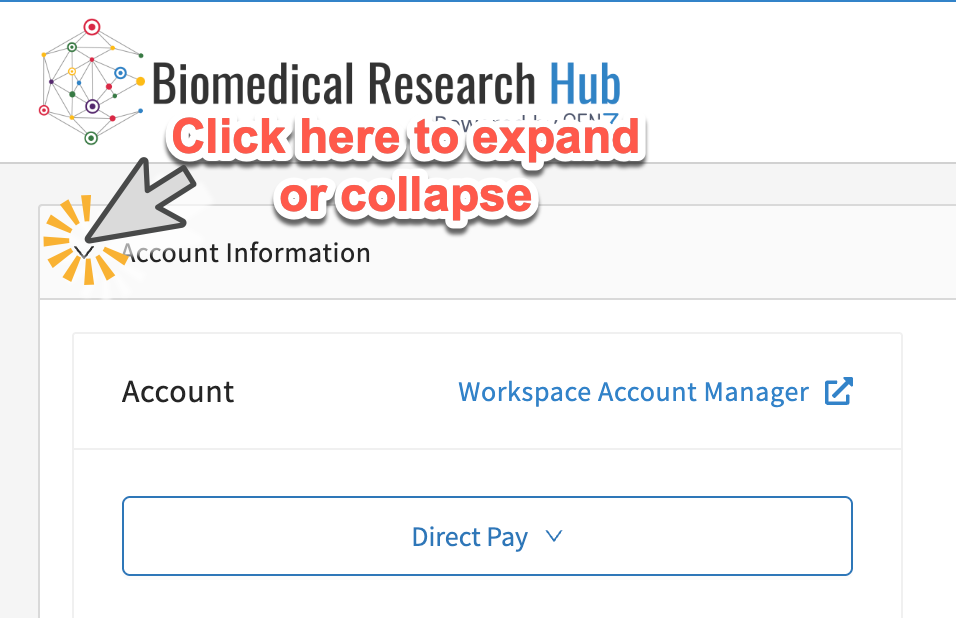 The Account information bar may already be expanded. If it is not, you can click on the Account Information to expand it to see the dropdown to select a workspace account.