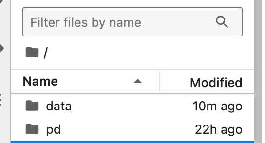 Workspace home folder, including the /pd directory