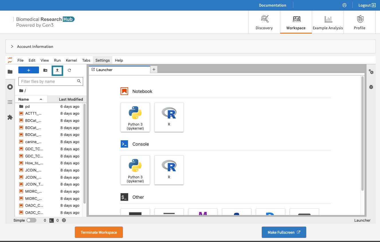 Upload data files or Notebooks to the workspace by clicking on “Upload” in the top left corner.