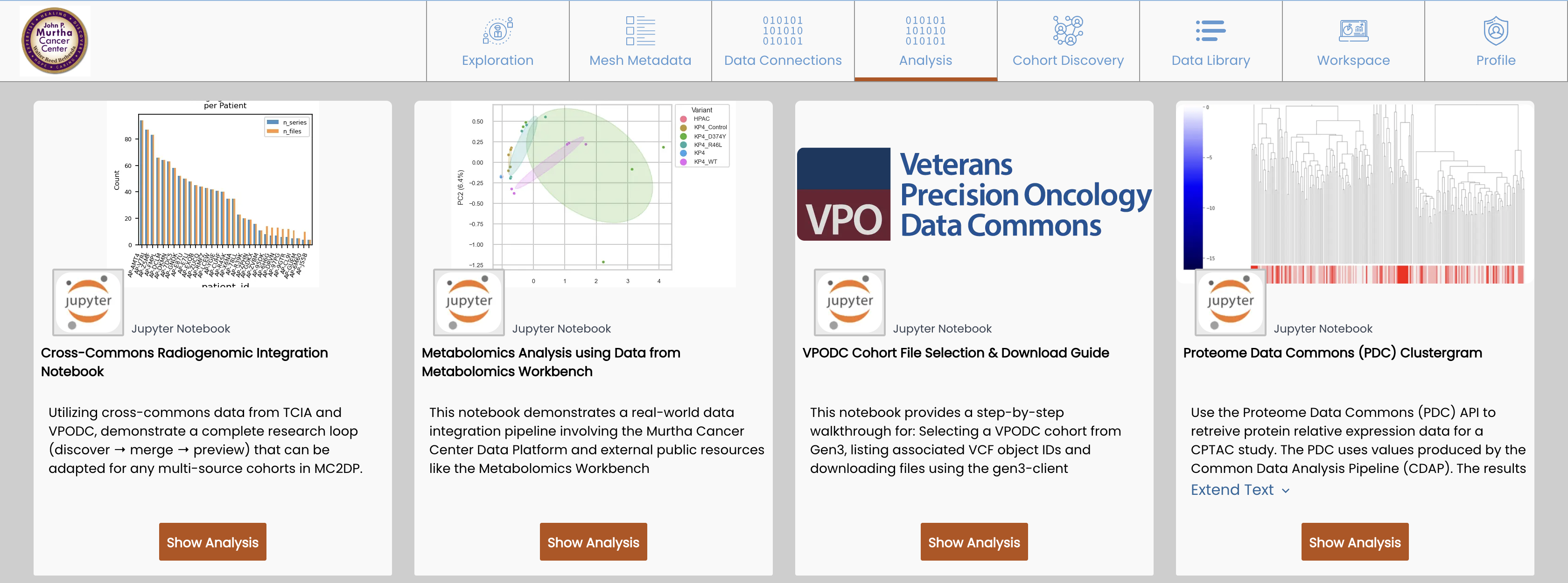 Example Analysis Intro