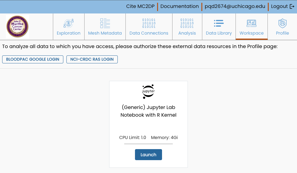 Workspace Launch Tiles