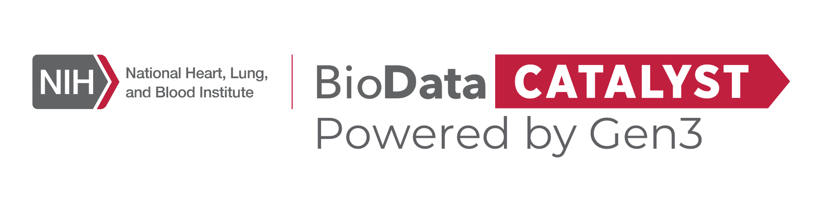 BDCat Logo